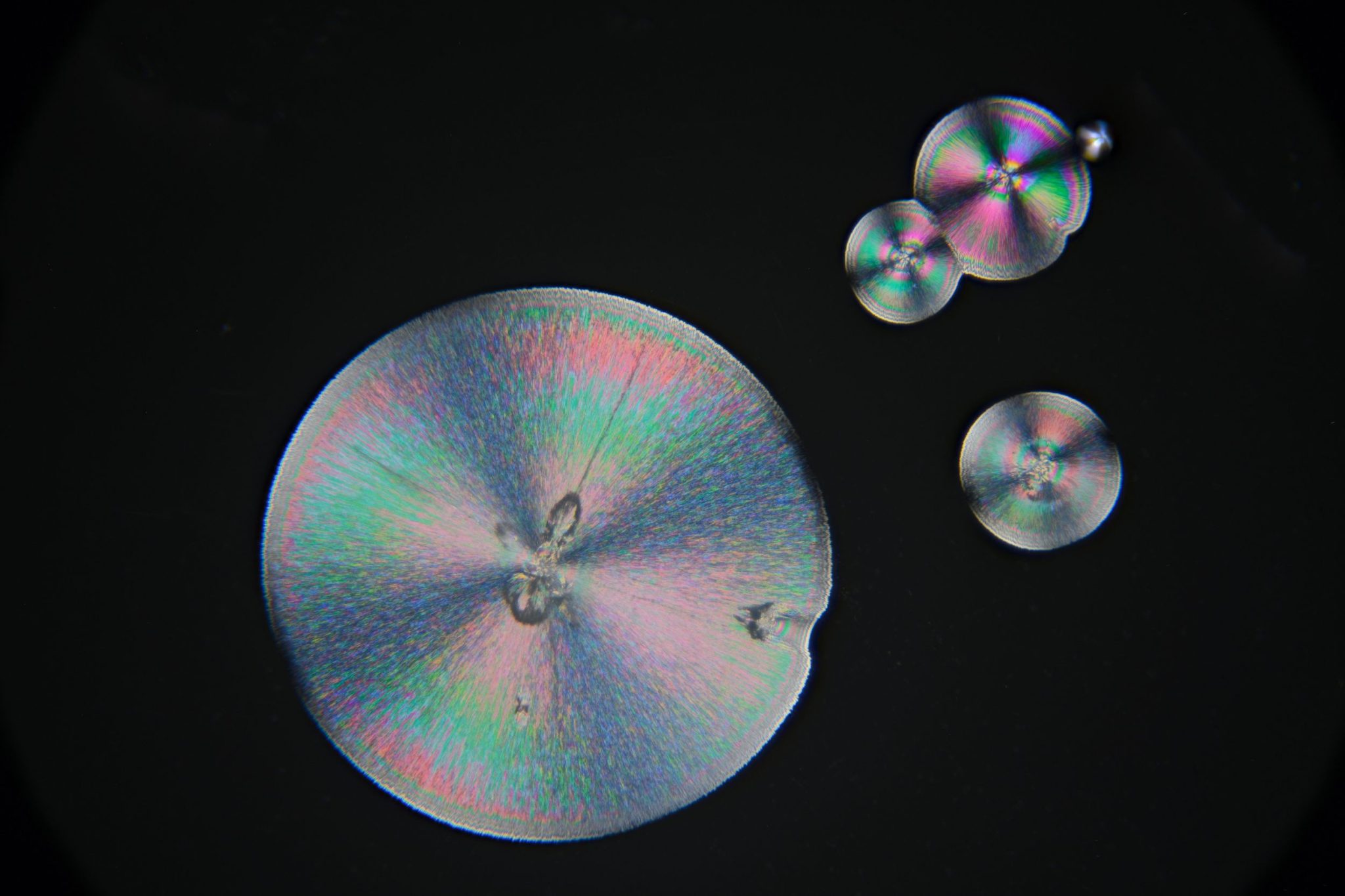 见著光电科技 – 聚焦显微摄影 见著光电科技 – 聚焦显微摄影